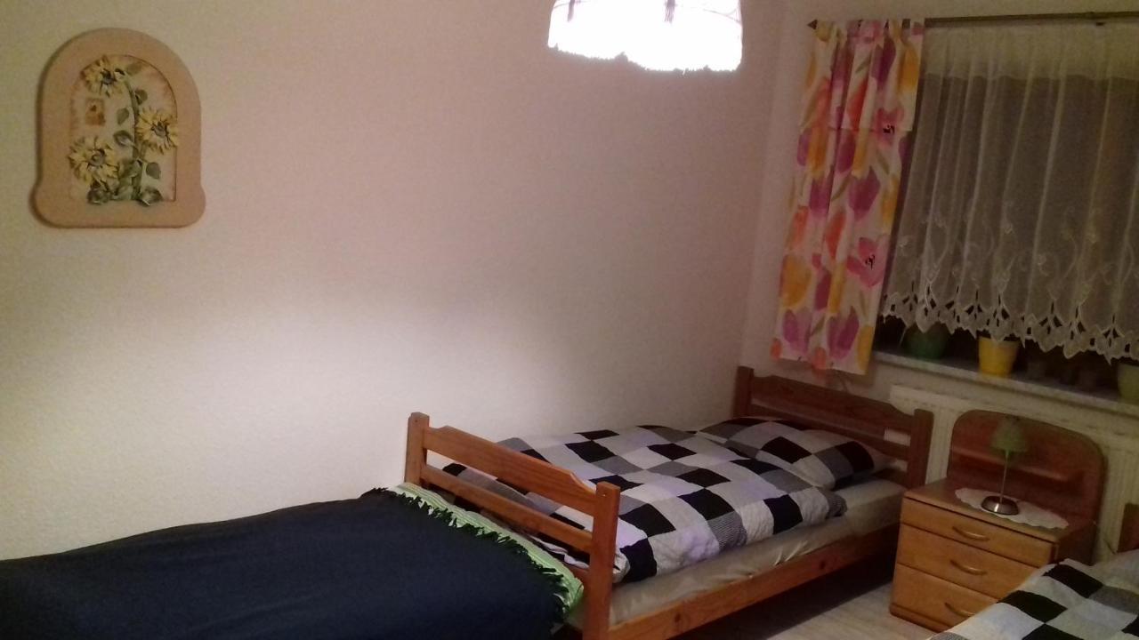 Weischlitz Ferienhaus Johanna & Ferienwohnung Thum מראה חיצוני תמונה